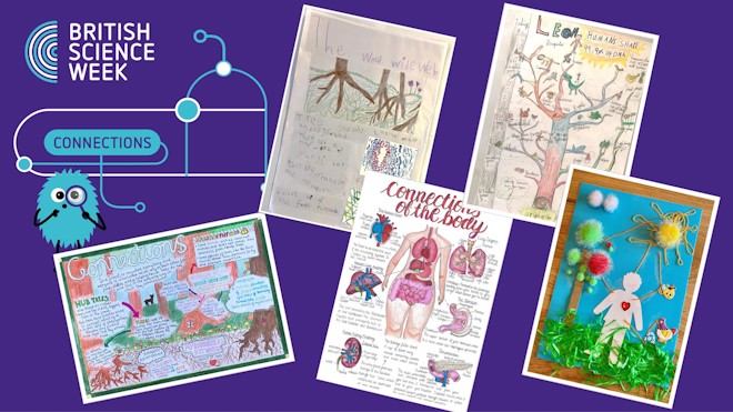 British Science Week 2023 Poster Competition Winners Announced!